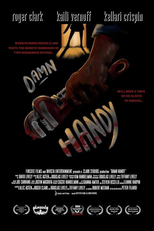 Damn Handyのポスター