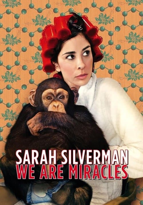 Sarah Silverman: We Are Miraclesのポスター