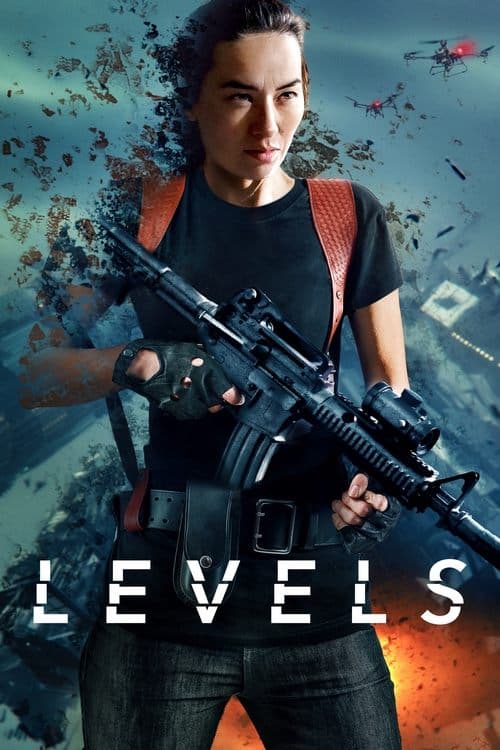 Levelsのポスター