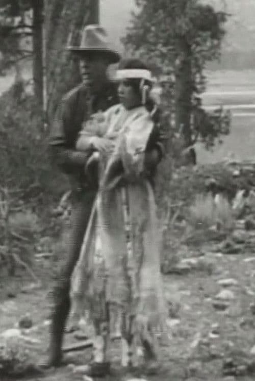 Little Dove's Romanceのポスター