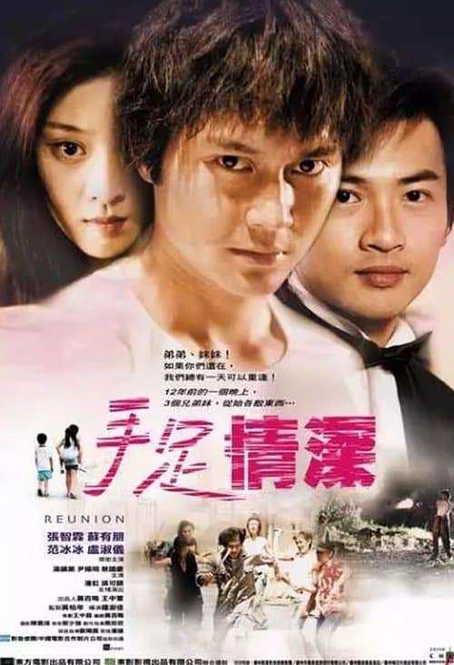 手足情深のポスター