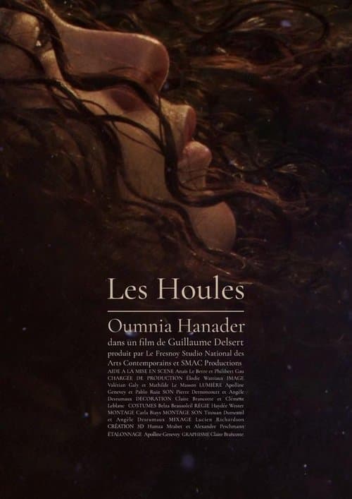 Les Houlesのポスター