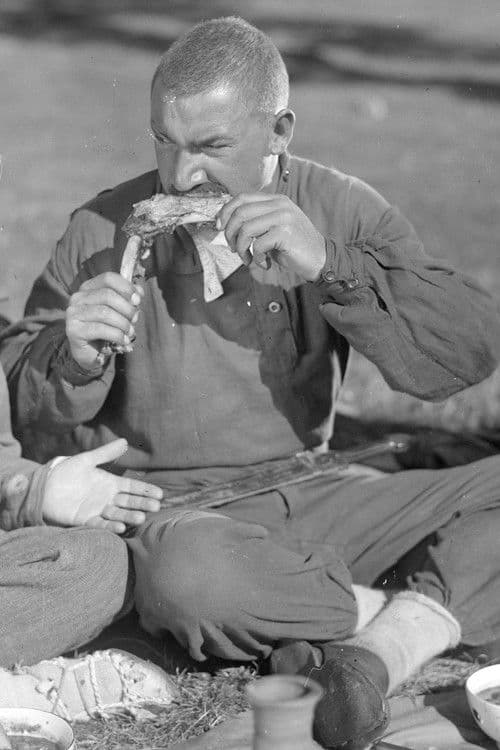 უდაბნოのポスター