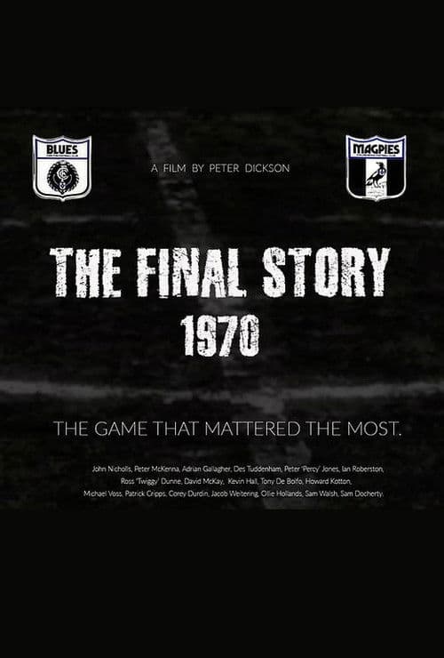 1970 | The Final Storyのポスター