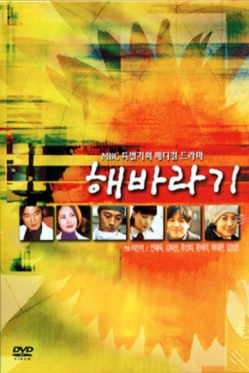 해바라기のポスター