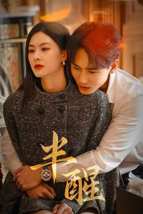 半醒のポスター