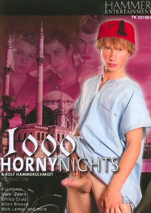 1000 Horny Nightsのポスター