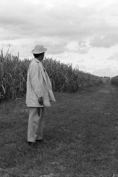 Un Gavillero en la Sierraのポスター