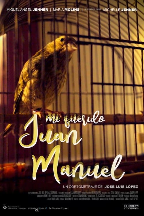 Mi querido Juan Manuelのポスター