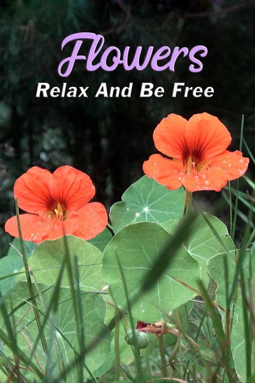 Flowers: Relax and Be Freeのポスター