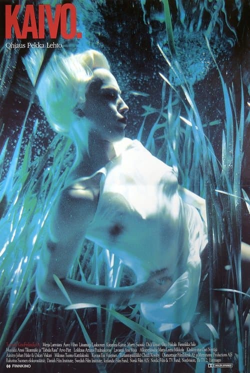 Kaivoのポスター