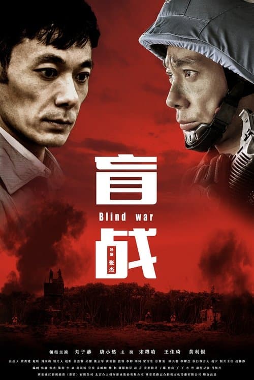 盲战のポスター