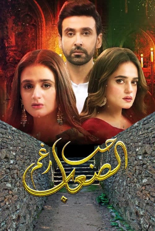 mein hari piyaのポスター