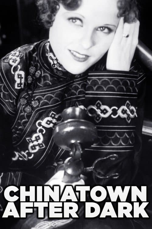 Chinatown After Darkのポスター