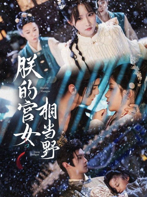 朕的宫女相当野のポスター