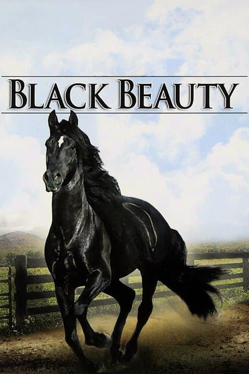 Black Beautyのポスター