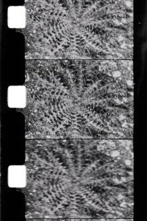 Le printempsのポスター