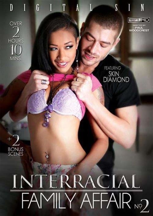 Interracial Family Affair 2のポスター