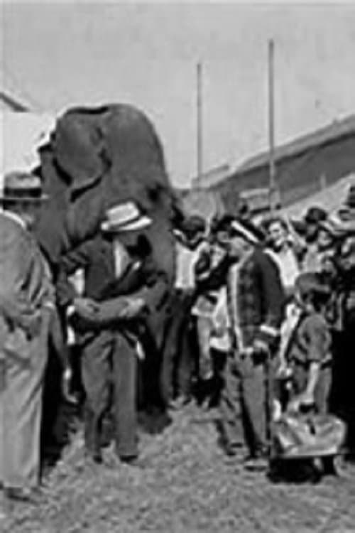 The Great Loveのポスター