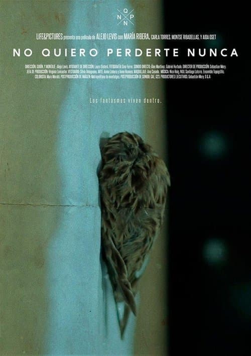 No quiero perderte nuncaのポスター