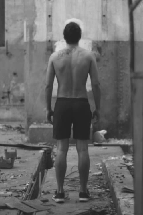 El fulgorのポスター