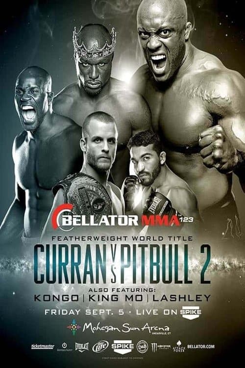 Bellator 123のポスター