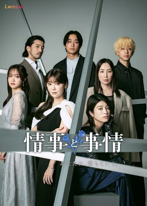 情事と事情のポスター