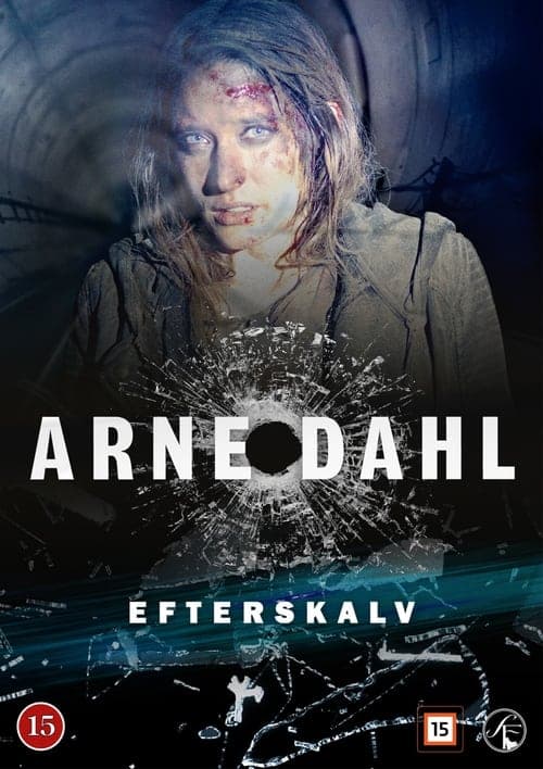 Arne Dahl - Efterskalvのポスター
