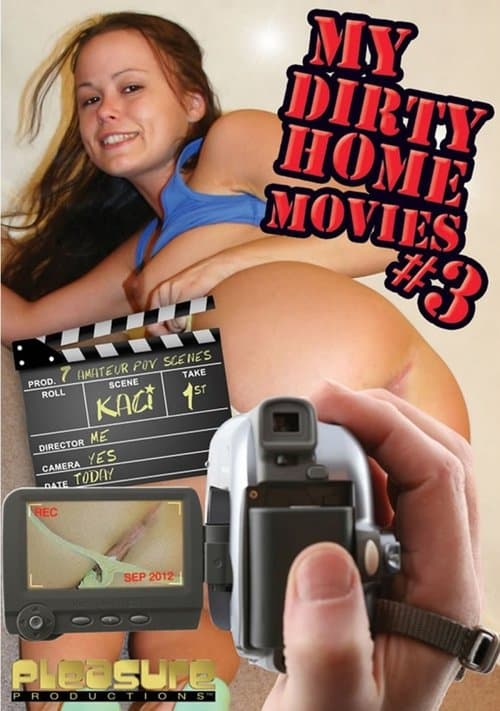 My Dirty Home Movies 3のポスター