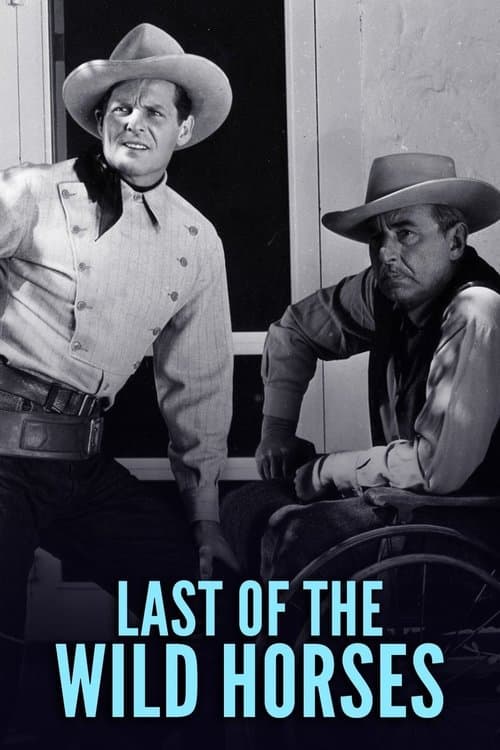 Last of the Wild Horsesのポスター