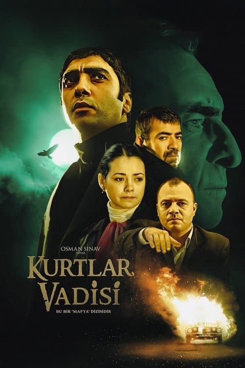 Kurtlar Vadisiのポスター