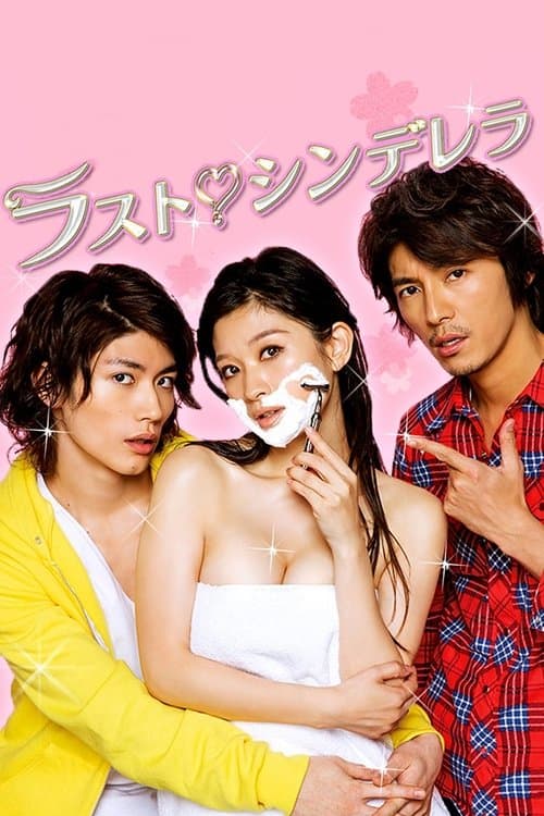 ラスト・シンデレラのポスター