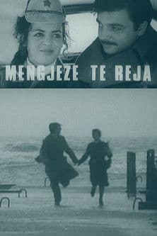 Mëngjese të rejaのポスター