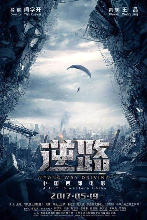 Wrong Way Drivingのポスター