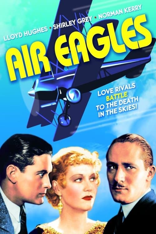 Air Eaglesのポスター