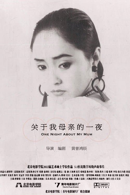 关于我母亲的一夜のポスター