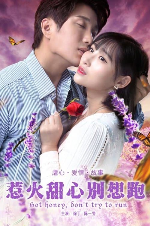 惹火甜心别想跑のポスター