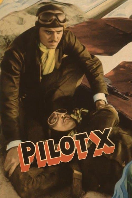 Pilot Xのポスター