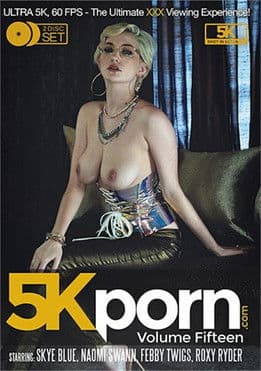 5K Porn 15のポスター