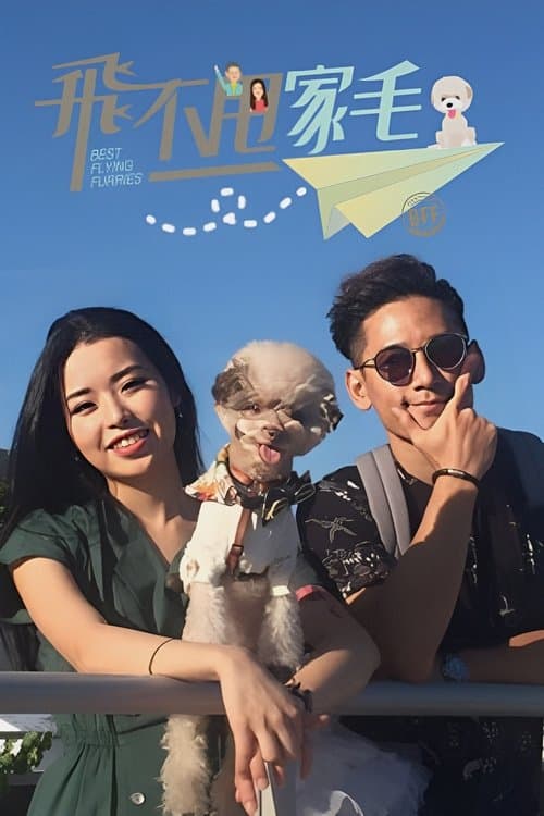 飛不甩家毛のポスター