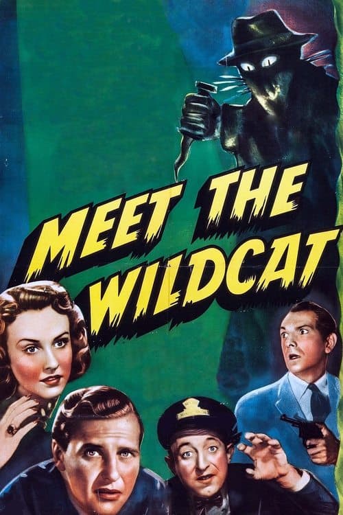 Meet the Wildcatのポスター