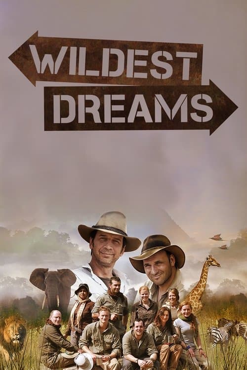 Wildest Dreamsのポスター
