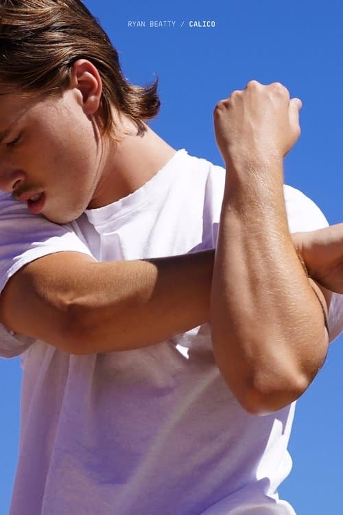 Calicoのポスター