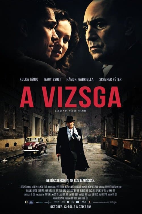 A vizsgaのポスター