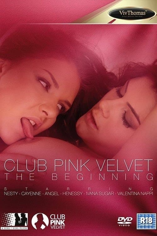 Club Pink Velvet - The Beginningのポスター