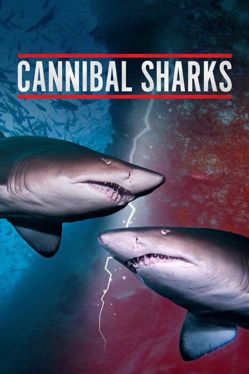 Cannibal Sharksのポスター