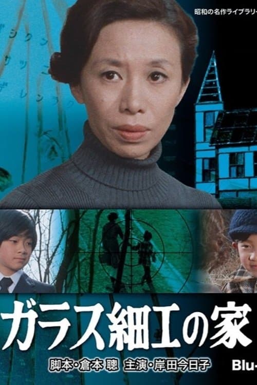 ガラス細工の家のポスター