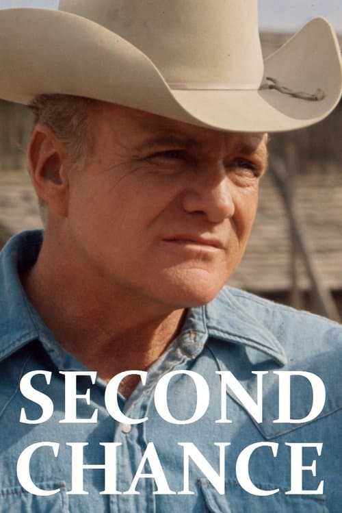 Second Chanceのポスター