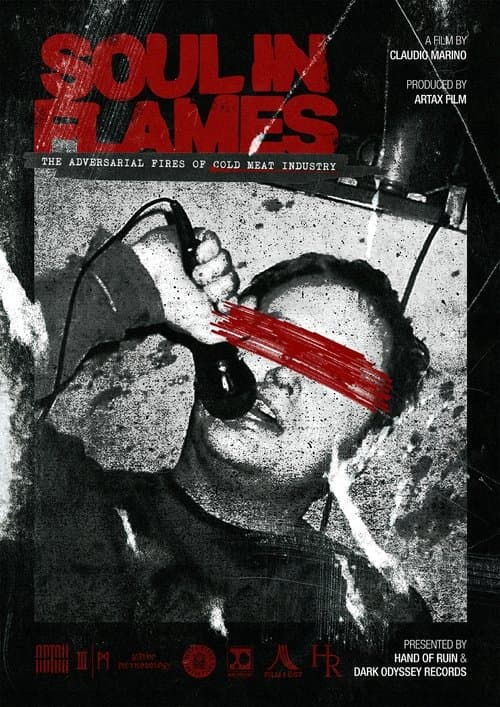 Soul in Flamesのポスター