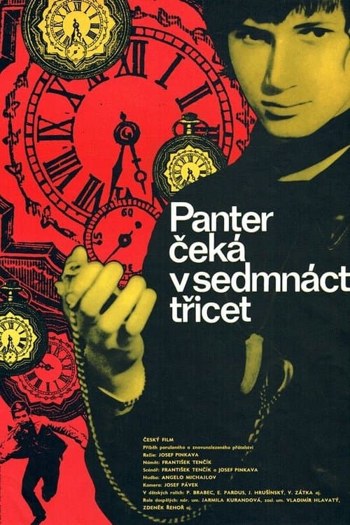 Panter čeká v 17,30のポスター